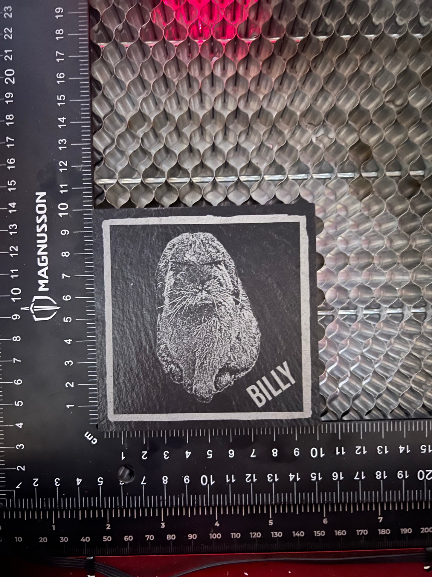 Personalised Gift: Slate Coaster, Your Pet & Name, Dog, Cat, Rabbit, Fish, Hamster, Lizard